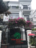 Hoa Giấy