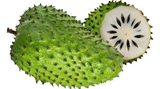 CÂY MÃNG CẦU