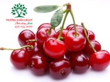 CÂY CHERRY