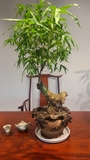Tre bonsai