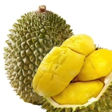 Cây Sầu Riêng