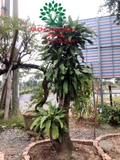 HOA THIẾT MỘC LAN
