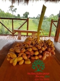 CÂY CHÀ LÀ