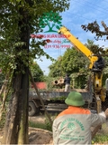 THI CÔNG THỰC TẾ 94