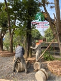 THI CÔNG THỰC TẾ 94