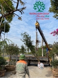 THI CÔNG THỰC TẾ 94