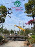 THI CÔNG THỰC TẾ 94