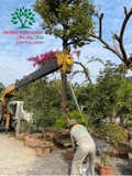 THI CÔNG THỰC TẾ 94