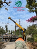 THI CÔNG THỰC TẾ 94