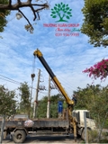THI CÔNG THỰC TẾ 94