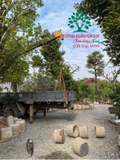 THI CÔNG THỰC TẾ 94