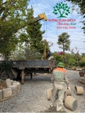 THI CÔNG THỰC TẾ 94