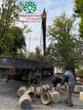 THI CÔNG THỰC TẾ 94