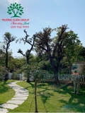 THI CÔNG THỰC TẾ 94