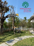 THI CÔNG THỰC TẾ 94