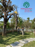 THI CÔNG THỰC TẾ 94