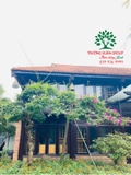Hoa Giấy