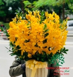 Hoa Lan