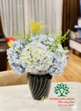 HOA CẨM TÚ CẦU