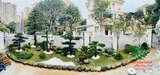 SÂN VƯỜN 54