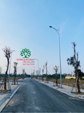 Thi công thực tế 85