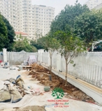 Thi công thực tế 85