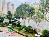 SÂN VƯỜN 54