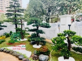 SÂN VƯỜN 54