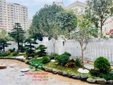 SÂN VƯỜN 54