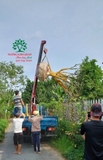 Thi công thực tế 86