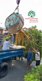 Thi công thực tế 86