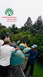 Thi công thực tế 86