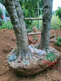 Thi công thực tế 88