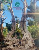 Thi công thực tế 89