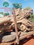 Thi công thực tế 89
