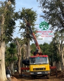 Thi công thực tế 89