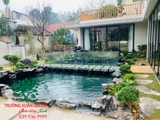 Hồ cá Koi 55