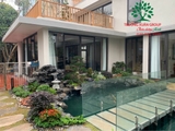 Hồ cá Koi 55