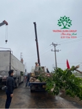 Thi công thực tế 91