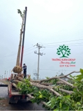 Thi công thực tế 91