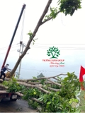 Thi công thực tế 91