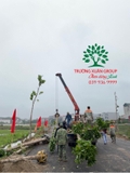 Thi công thực tế 91