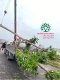 Thi công thực tế 91