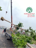 Thi công thực tế 91