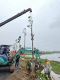 Thi công thực tế 91