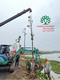Thi công thực tế 91