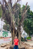 Thi công thực tế 93