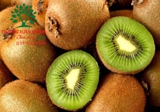 CÂY KIWI