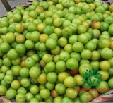 Cây Mận