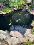 Bàn đá - Cối đá 12